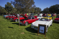 MG Car Club Sydney Concours & Display Day Seth Reinhardt