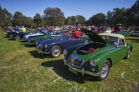 MG Car Club Sydney Concours & Display Day Seth Reinhardt