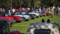 MG Car Club Sydney Concours & Display Day Seth Reinhardt