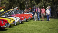 MG Car Club Sydney Concours & Display Day Seth Reinhardt