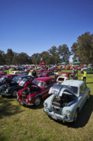 MG Car Club Sydney Concours & Display Day Seth Reinhardt