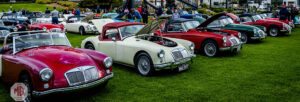 Concours d'Elegance