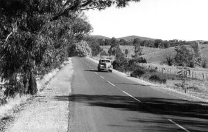 Route 31