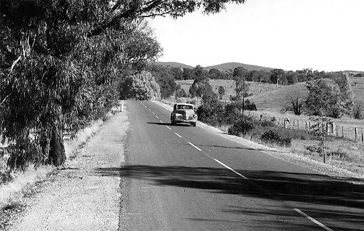 Route 31
